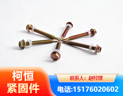 威海六角钻尾丝