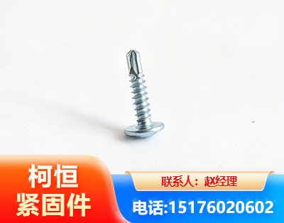 威海华司钻尾丝
